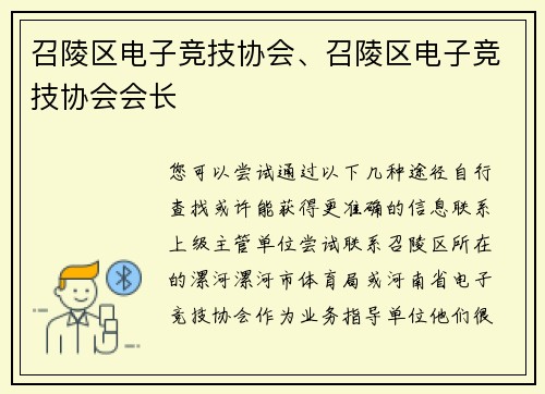 召陵区电子竞技协会、召陵区电子竞技协会会长